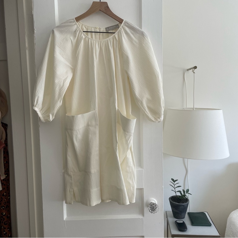 Everlane Puff Sleeve Dress